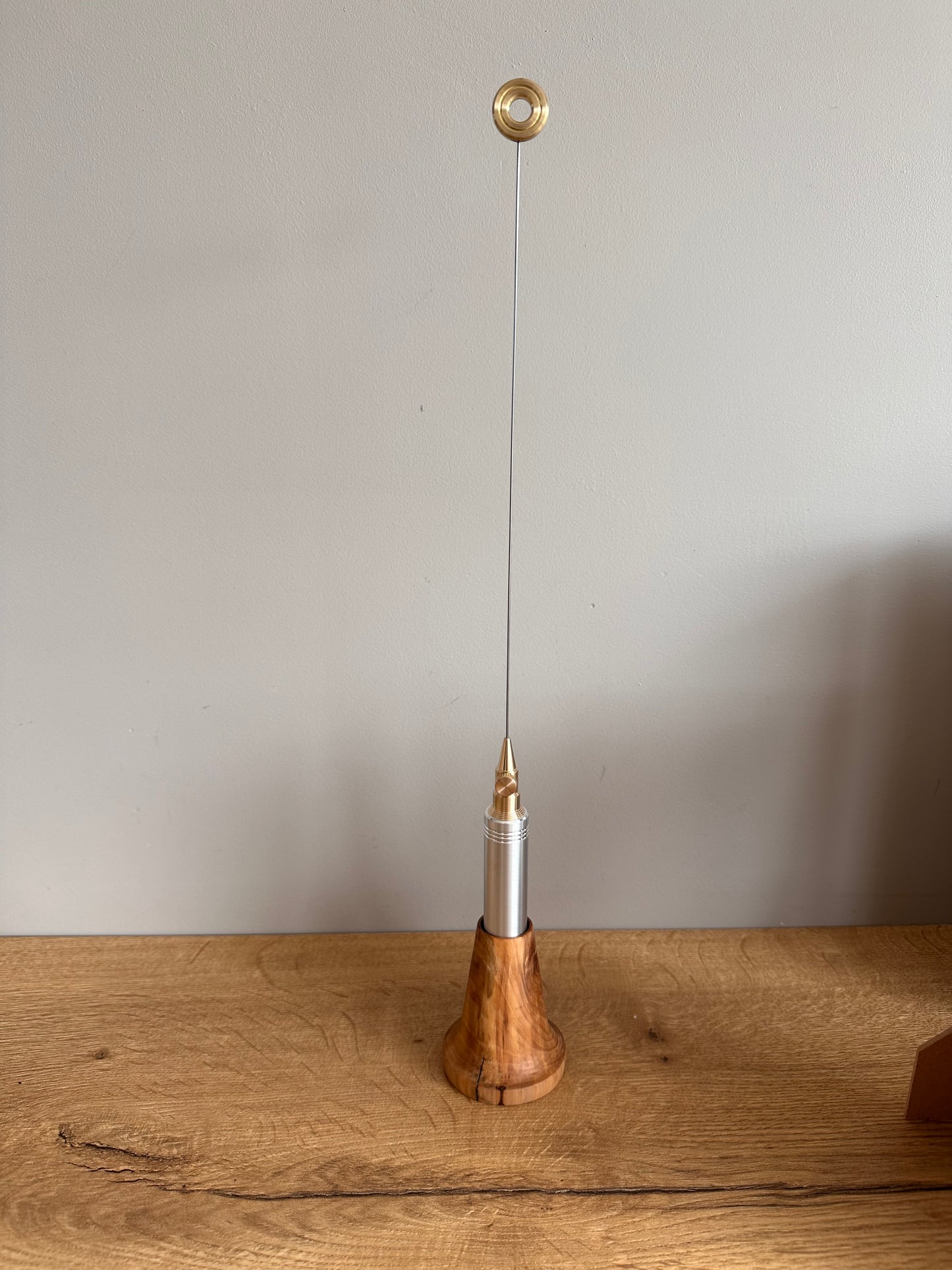 Houder voor biosensor