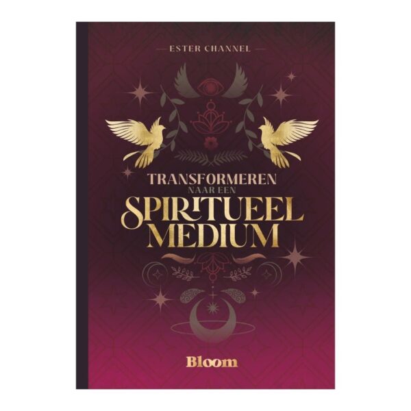 Boek - Transformeren naar een spiritueel medium